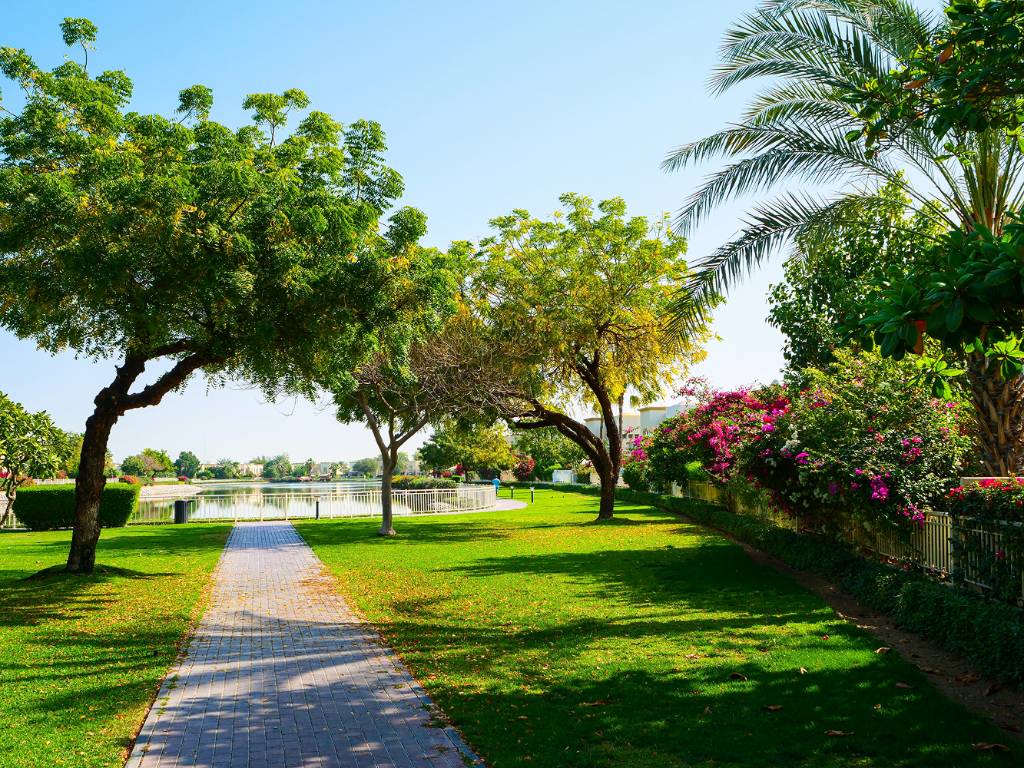 Amenity Image