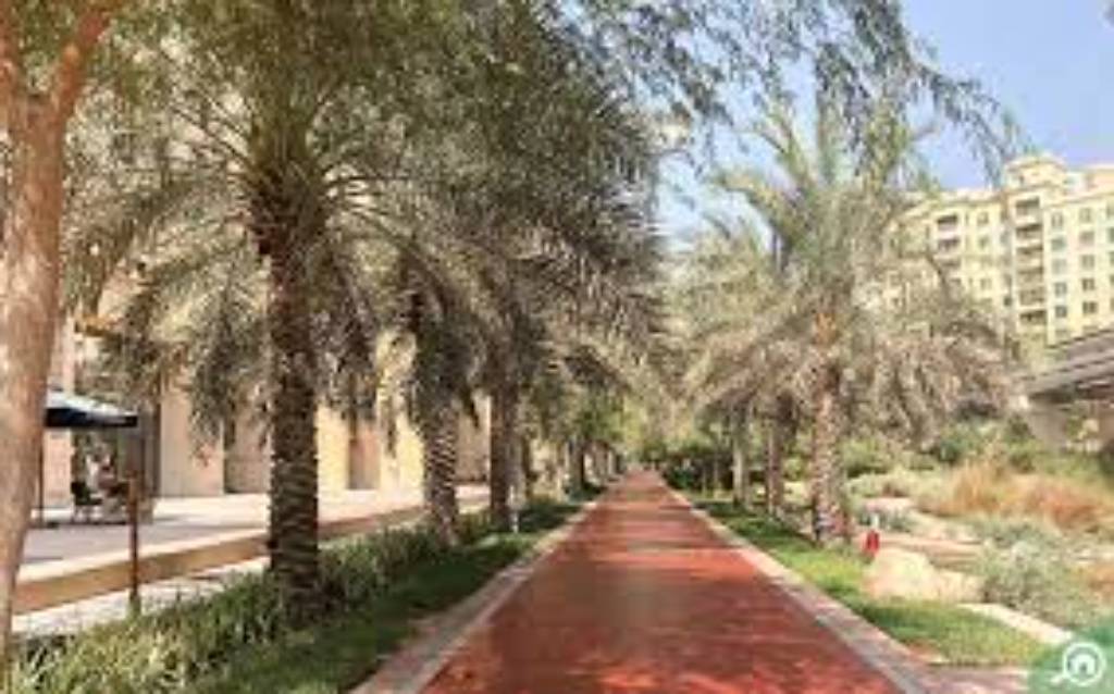 Amenity Image