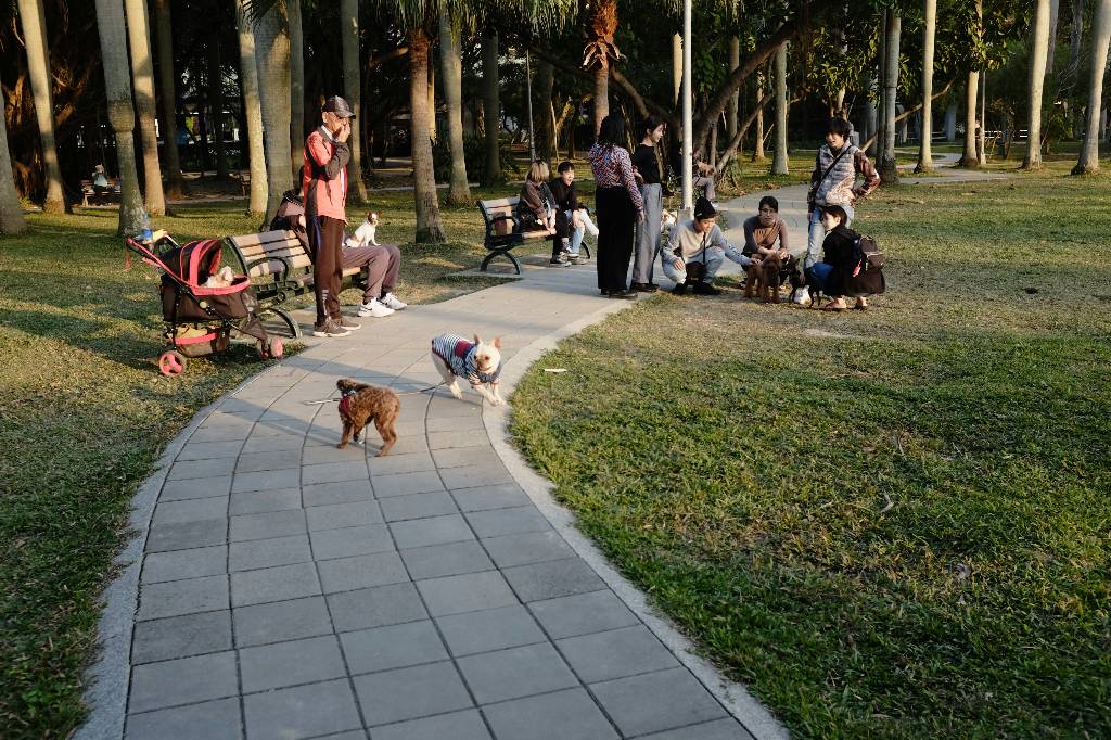 Amenity Image